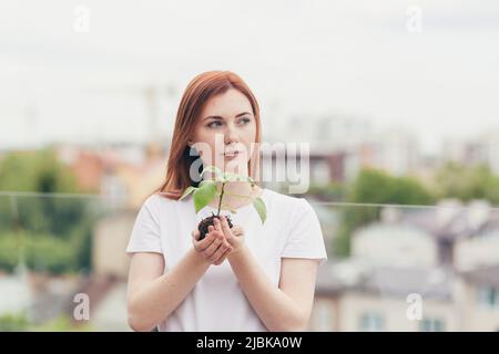 la volontaire femelle tient dans ses mains une plantule d'un arbre floral Banque D'Images