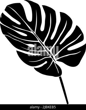 Silhouette isolée Monstera ou feuille de palmier. Feuille noire de plante isolée sur fond blanc. Illustration vectorielle. Illustration de Vecteur