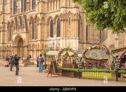 Direction sud York Minster avec une zone fermée d'un côté décorée de fleurs colorées. Un touriste prend une photo. Banque D'Images