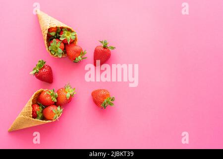 Vue de dessus des fraises juteuses dans des gaufres douces sur fond rose Banque D'Images