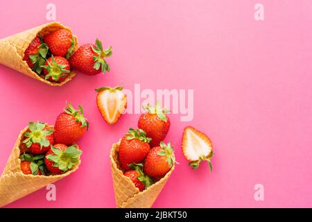 Vue de dessus des fraises douces avec des feuilles dans des cornets de gaufres sur fond rose Banque D'Images