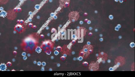 Image des cellules covides 19 et de la rotation des brins d'adn Banque D'Images