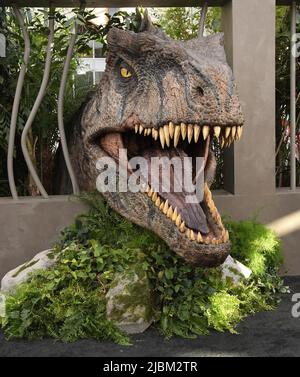 Giganotosaurus à la première NATIONALE DU MONDE JURASSIQUE d'Universal Pictures tenue au Théâtre chinois TCL le lundi, ?6 juin 2022. (Photo de la Sathanlee B. Mirador/Sipa USA) Banque D'Images