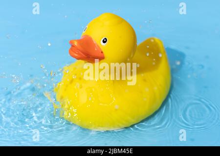 Canard en caoutchouc jaune sur fond bleu avec gouttes d'eau. Loisirs concept ludique Banque D'Images