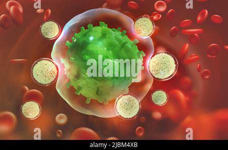 Les leucocytes attaquent le virus. Immunité du corps. 3D illustration de la recherche médicale Banque D'Images