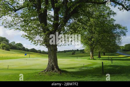 Parc Westwood publick avec green de golf et mât de drapeau flanqué de beaux arbres et de feuilles de printemps lors d'une belle matinée à Beverley, Yorkshire, Royaume-Uni. Banque D'Images