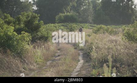 Homme explorant un seul sentier en VTT. En été, un athlète de montagne fait du vélo le long de la route de campagne. Sport et vie saine. Cycl Banque D'Images