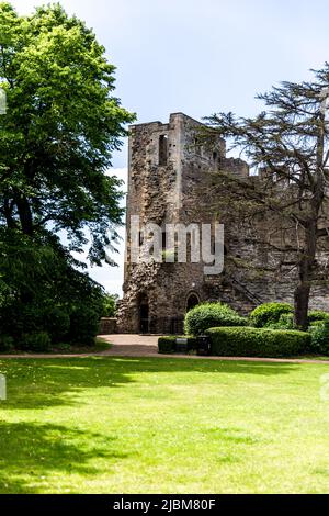 Château gothique médiéval de Newark on Trent, près de Nottingham, dans le Nottinghamshire, Angleterre, Royaume-Uni. Banque D'Images