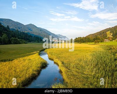 Réserve naturelle Zelenci, krajnska gora, Slovénie, Europe.Wonderful vue matinale de la réserve naturelle de zelenci. Banque D'Images