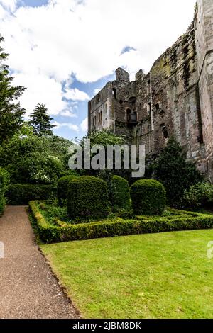 Château gothique médiéval de Newark on Trent, près de Nottingham, dans le Nottinghamshire, Angleterre, Royaume-Uni. Banque D'Images