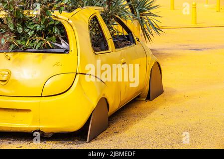 Voiture jaune, surcultivée avec des plantes, dans un environnement jaune. Bruxelles. Banque D'Images