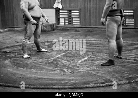 Entraînement matinal difficile à l'écurie Sumo, Ryogoku, Tokyo Banque D'Images