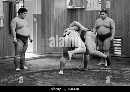 Entraînement matinal difficile à l'écurie Sumo, Ryogoku, Tokyo Banque D'Images