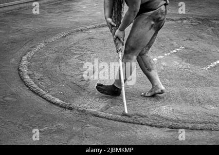 Entraînement matinal difficile à l'écurie Sumo, Ryogoku, Tokyo Banque D'Images