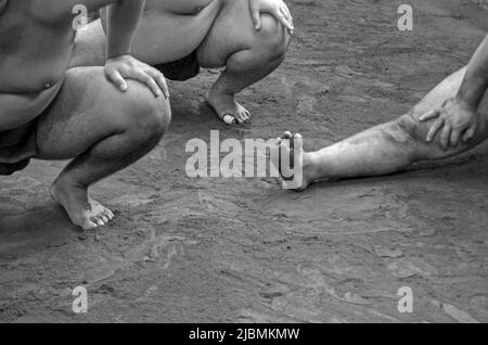 Entraînement matinal difficile à l'écurie Sumo, Ryogoku, Tokyo Banque D'Images