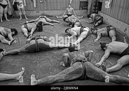 Entraînement matinal difficile à l'écurie Sumo, Ryogoku, Tokyo Banque D'Images