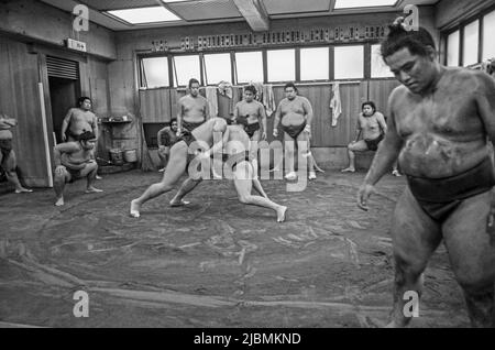 Entraînement matinal difficile à l'écurie Sumo, Ryogoku, Tokyo Banque D'Images