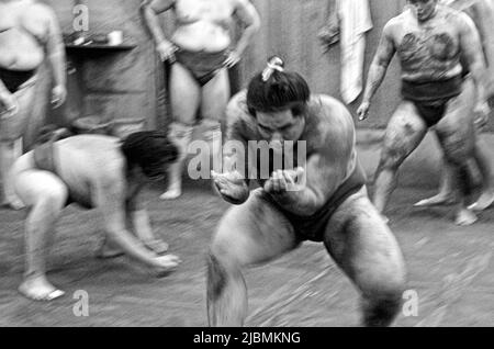 Entraînement matinal difficile à l'écurie Sumo, Ryogoku, Tokyo Banque D'Images