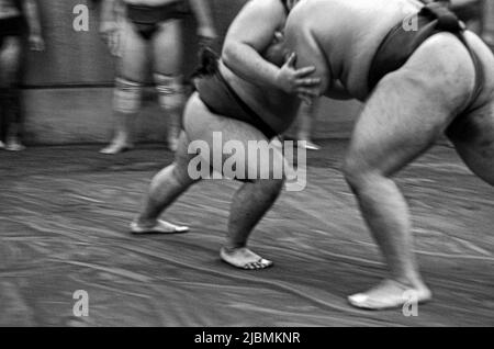 Entraînement matinal difficile à l'écurie Sumo, Ryogoku, Tokyo Banque D'Images