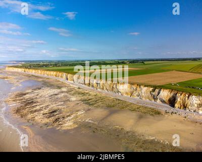 Vue aérienne sur les falaises blanches de halk, les champs verts du pays de Caux et l'eau de l'océan Atlantique près du petit village de Veules-les-Roses, Normandie, France. Visite Banque D'Images