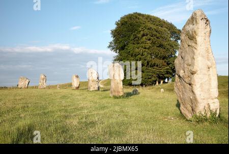 Monument d'Avebury Wiltshire Banque D'Images