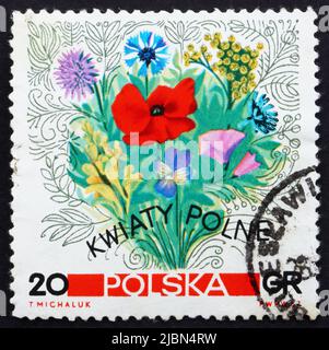 POLOGNE - VERS 1967 : un timbre imprimé en Pologne montre Flowers of the Meadows, vers 1967 Banque D'Images