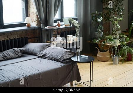 Image horizontale d'un lit vide avec des plantes de maison en arrière-plan dans une chambre moderne Banque D'Images