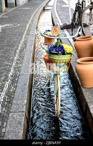 Freiburg im Breisgau (Bade-Wurtemberg, Allemagne): „Bächle“ in der Altstadt; rinnel, petits canons remplis d'eau, dans la vieille ville Banque D'Images