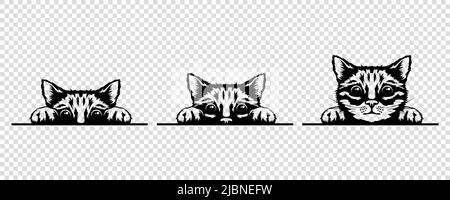 Vector Monochrome main Drawm Black, White Hiding Peeking Kitten. Tête de chaton avec griffes en haut Peeking sur blanc blanc Placerard, affiche, carte, bannière. Animaux de compagnie Illustration de Vecteur