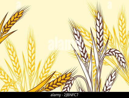 Arrière-plan avec le blé. Image agricole avec des oreilles dorées naturelles d'orge ou de seigle. Illustration de Vecteur