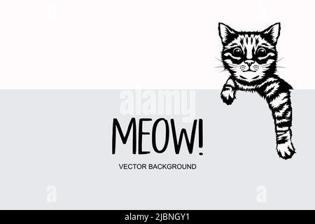 Vector Monochrome main Drawm Black, White Hiding Peeking Kitten. Tête de chaton avec griffes en haut Peeking sur blanc blanc Placerard, affiche, carte, bannière. Animaux de compagnie Illustration de Vecteur