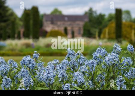 Italianate Garden on the Trentham Estate, Stoke-on-Trent, Royaume-Uni. Le programme de plantation moderne est naturaliste, avec des fleurs de Camassia en premier plan. Banque D'Images