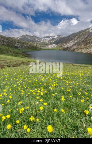 Lac Cerveriz, groupe des lacs de Saliencia, parc naturel de Somiedo, Asturies, Espagne Banque D'Images