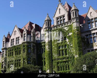Bâtiment en pierre de style gothique couvert d'ivy, à l'Université de Chicago Banque D'Images