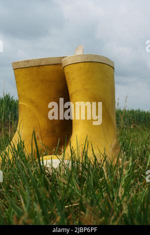 Bottes en caoutchouc jaunes laissées au milieu du champ. Bottes en caoutchouc qui restent sur l'herbe Banque D'Images