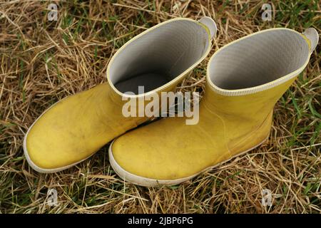 Bottes en caoutchouc jaunes laissées au milieu du champ. Bottes en caoutchouc qui restent sur l'herbe Banque D'Images