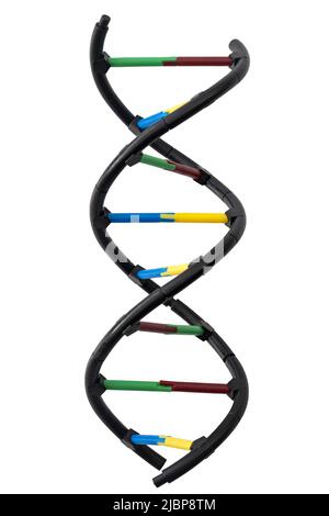 Recherche en biologie moléculaire, biotechnologie et biochimie et concept de clipart de code génétique avec image PNG de la molécule d'hélice d'ADN isolée sur le transpare Banque D'Images
