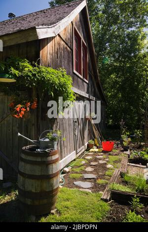 Ancienne grange en bois avec fenêtres rouges dans le jardin au printemps. Banque D'Images