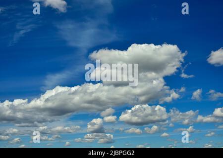 Des nuages blancs bouffis flottent sur un ciel bleu dans les régions rurales de l'Alberta au Canada Banque D'Images