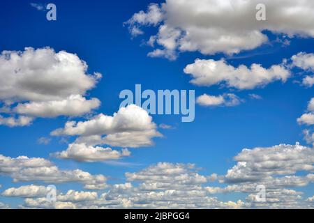 Des nuages blancs boursouflés flottent sur un ciel bleu dans les régions rurales du Canada de l'Alberta Banque D'Images