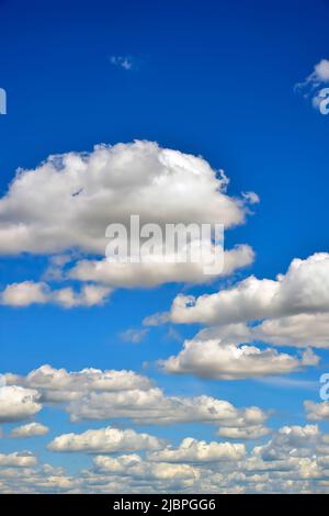 Une image verticale de nuages blancs moelleux flottant en travers d'un ciel bleu dans les régions rurales de l'Alberta au Canada.