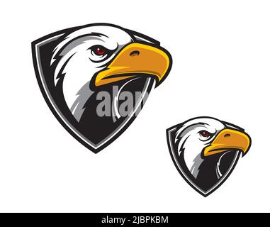 Eagle, falcon, mascotte vecteur de tête de faucon pour équipe de sport ou club de joueurs, emblème de vecteur. Basket-ball, baseball et football ou hockey sur glace, écusson de la ligue de hockey sur glace de l'aigle Illustration de Vecteur