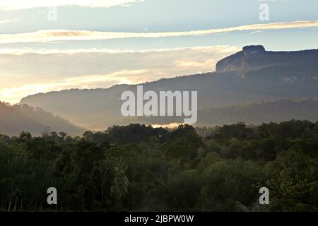 Vue sur le paysage de la forêt tropicale et Bukit Tilung, une colline sacrée selon les habitants, dans le village de Nanga Raun, Kalis, Kapuas Hulu, Kalimantan occidental, Indonésie. Banque D'Images