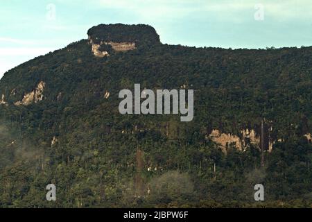 La forêt tropicale sur la colline de Bukit Tilung est vue depuis le village de Nanga Raun à Kalis, Kapuas Hulu, Kalimantan occidental, Indonésie. Banque D'Images