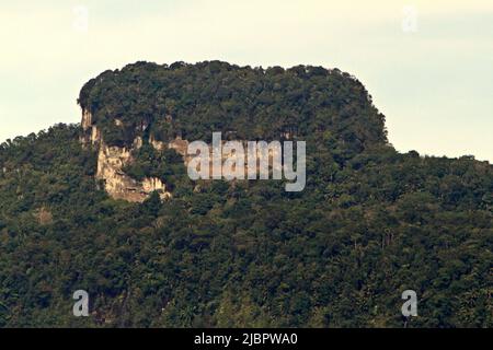 La forêt tropicale sur la colline de Bukit Tilung est vue depuis le village de Nanga Raun à Kalis, Kapuas Hulu, Kalimantan occidental, Indonésie. Banque D'Images