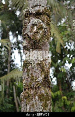 Un totem dans le village de Nanga Raun, Kalis, Kapuas Hulu, Kalimantan occidental, Indonésie. Banque D'Images