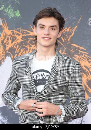 7 juin 2022 - Hollywood, Californie - Louis Partridge, événement FYC 'Pistol' du FX, tenu au théâtre El Capitan à Hollywood. (Image de crédit : © FS/AdMedia via ZUMA Press Wire) Banque D'Images