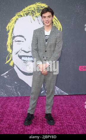 7 juin 2022 - Hollywood, Californie - Louis Partridge, événement FYC 'Pistol' du FX, tenu au théâtre El Capitan à Hollywood. (Image de crédit : © FS/AdMedia via ZUMA Press Wire) Banque D'Images