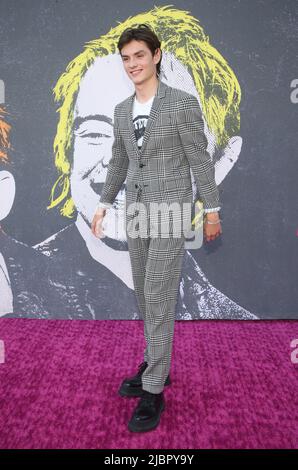 7 juin 2022 - Hollywood, Californie - Louis Partridge, événement FYC 'Pistol' du FX, tenu au théâtre El Capitan à Hollywood. (Image de crédit : © FS/AdMedia via ZUMA Press Wire) Banque D'Images