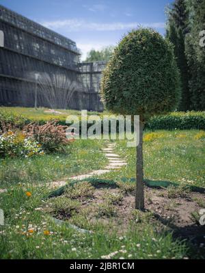 Un paysage avec un arbre bien entretenu sur le fond botanique de serre Banque D'Images